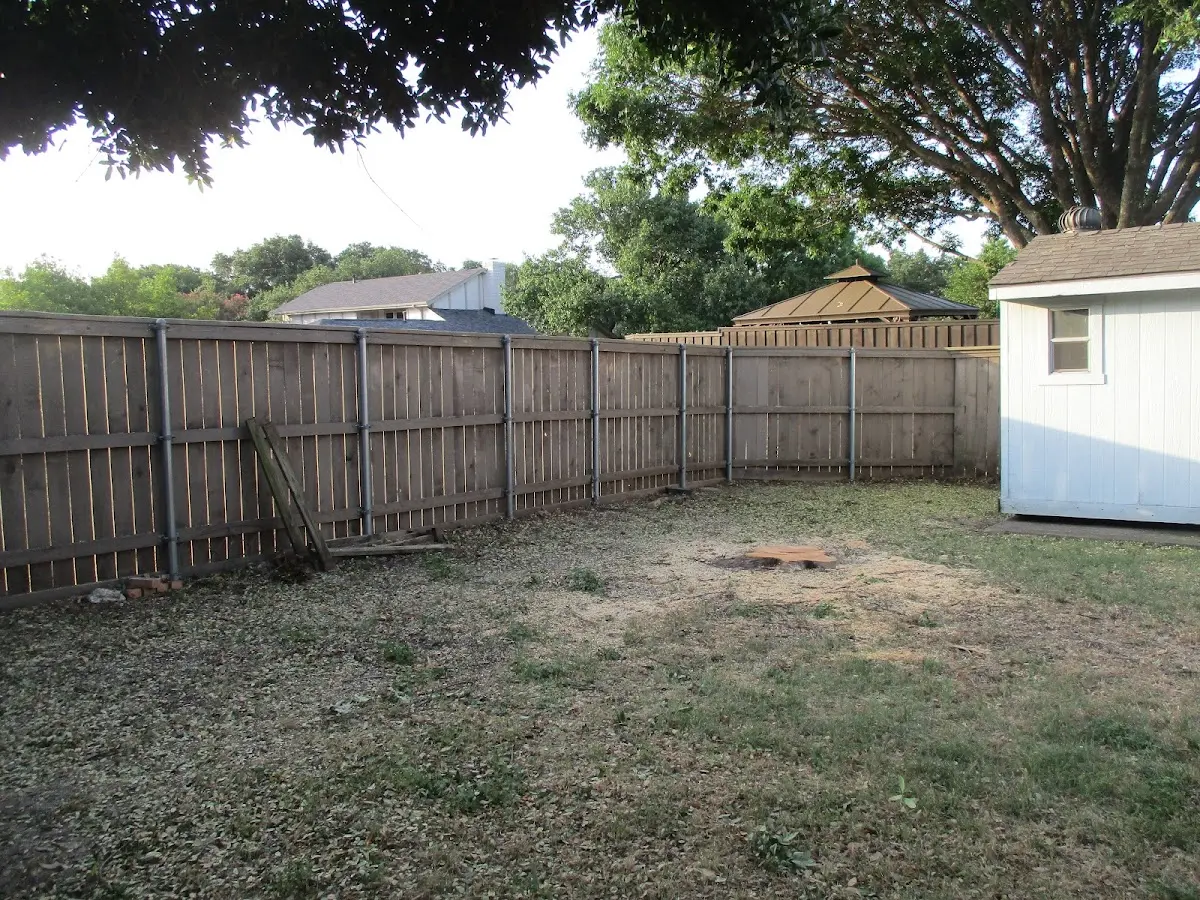 Cleared yard after professional tree removal in Waupun
